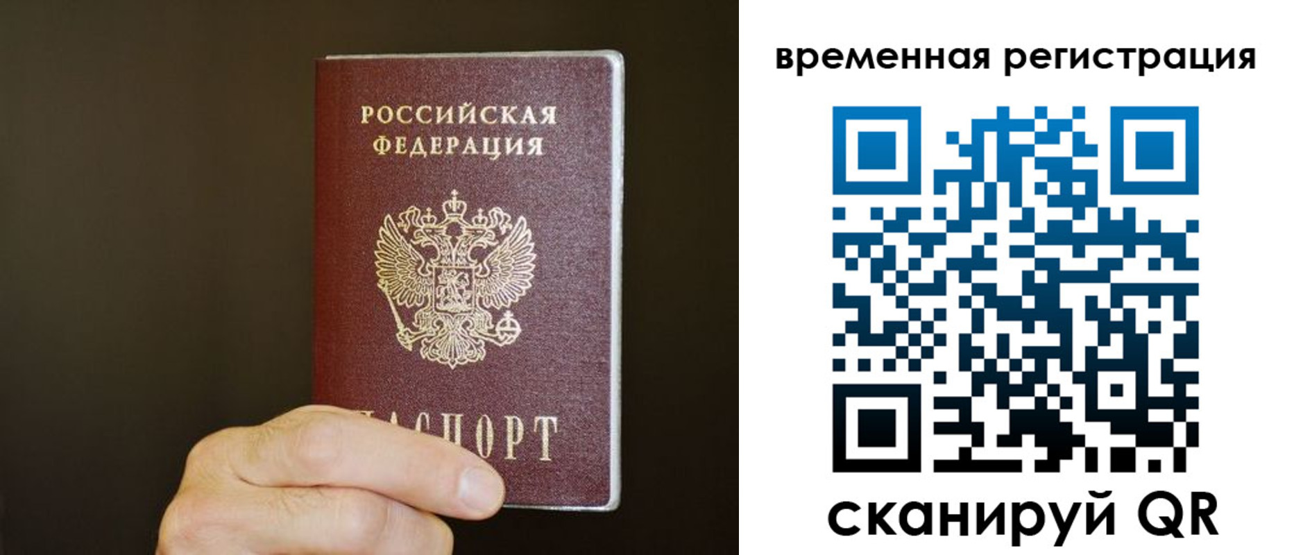 прописка гарантия в Тавде